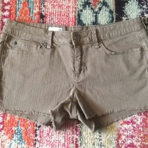 GAP 1969 Summer Cut-Offs